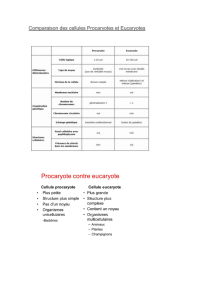Comparaison des cellules Procaryotes et Eucaryotes