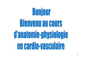 anatomie et physiologie cardio