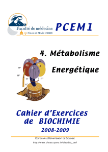 Cahier d`Exercices de BIOCHIMIE 4. Métabolisme