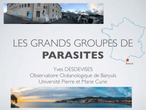 cours - Yves Desdevises