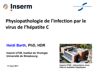Physiopathologie de l`infection par le virus de l`hépatite C