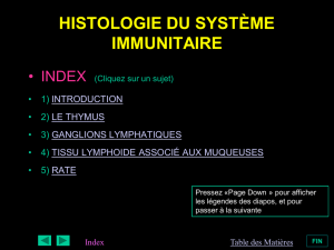 histologie du système immunitaire