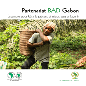 Gabon - 2014 - Profil Pays - Ensemble pour bâtir le présent et mieux