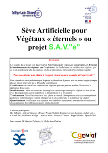 Sève Artificielle pour Végétaux « éternels » ou projet S.A.V.``e``