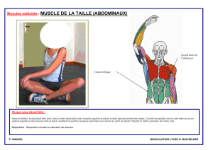 Muscles sollicités : MUSCLE DE LA TAILLE (ABDOMINAUX)