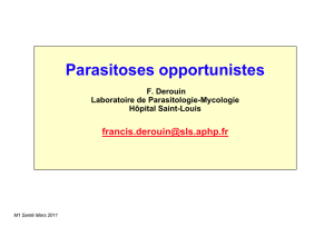 Principales parasitoses opportunistes