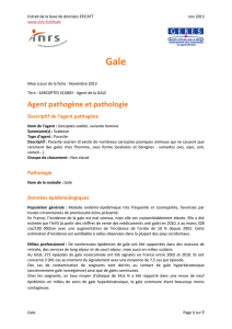 Gale17