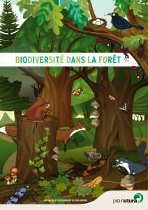biodiversité dans la forêt