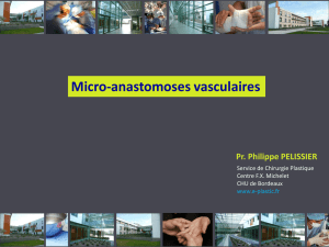 Micro-anastomoses vasculaires - e