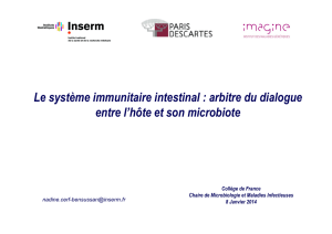 le microbiote (sfb)