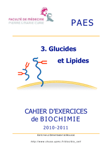 CAHIER D`EXERCICES de BIOCHIMIE et Lipides 3. Glucides
