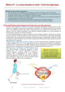 Bilan n°5 – Le corps humain et santé : l`exercice