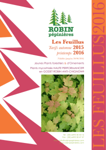 Les Feuillus - Robin Pépinières