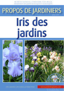 Plaquette informative sur les iris (pdf, 5.95 Mo)