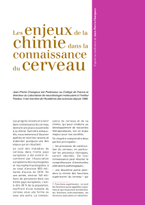 Les enjeux de la chimie dans la connaissance du cerveau (PDF