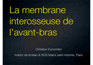 Membrane inter osseuse avant-bras Ch. Dumontier