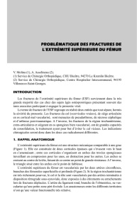 Problématique des fractures de l`extrémité supérieure