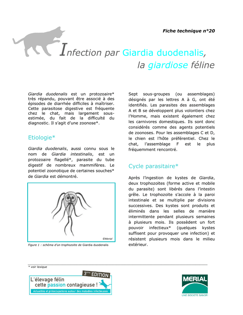 Giardia zoonotic Gyomor-bélhurut