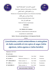 Voir/Ouvrir - Université Hassiba Benbouali de Chlef