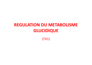 regulation du metabolisme glucidique