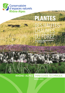 plantes - cen rhone