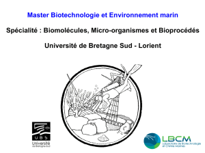 présentation [PDF - 148 Ko ] - Laboratoire de Biotechnologie et