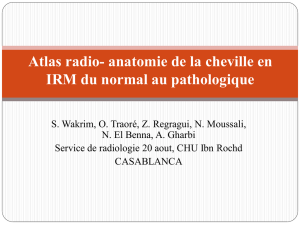 Atlas radio- anatomie du cheville en IRM du normal au pathologique