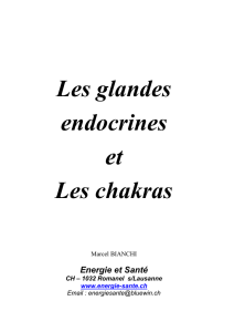Les glandes endocrines et Les chakras