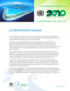 La biodiversité insulaire