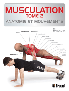 Musculation tome 2