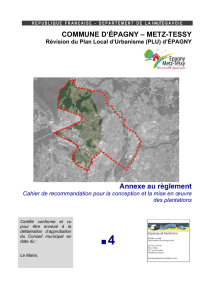 COMMUNE D`ÉPAGNY – METZ-TESSY Annexe au règlement 4