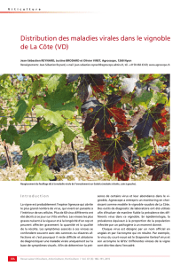 Distribution des maladies virales dans le vignoble de La Côte (VD)