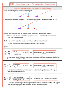 03 Trigo