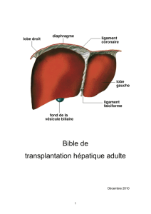 Bible de transplantation hépatique adulte