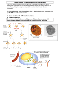 Les mécanismes de défenses immunitaires adaptatives 1. Les