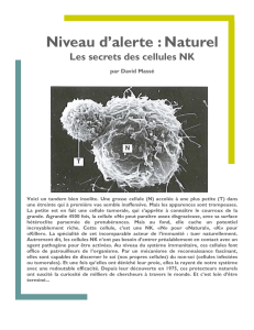 Niveau d`alerte : Naturel. Les secrets des cellules NK