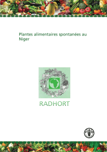 Plantes alimentaires spontanées au Niger