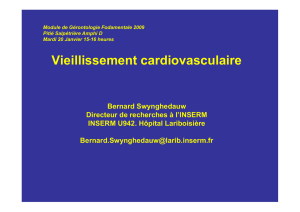 Vieillissement cardio-vasculaire