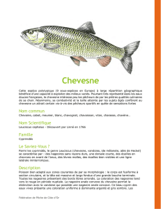 Chevesne - Fédération de Pêche de Côte-d`Or