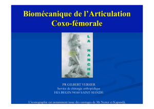 Biomécanique de l`Articulation Coxo-fémorale