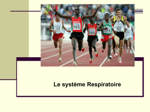 1 – Anatomie du système respiratoire