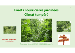 Forêts nourricières jardinées Climat tempéré