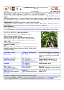 1 Fiche présentation arbre : Flacourtia indica (Burm f.) Noms