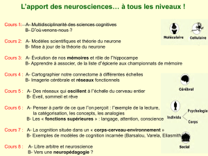 A- Modèles scientifiques et théorie du neurone