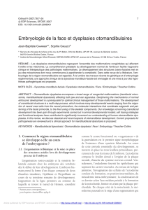 Embryologie de la face et dysplasies otomandibulaires