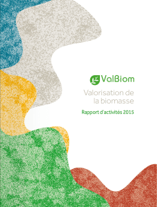 Valorisation de la biomasse