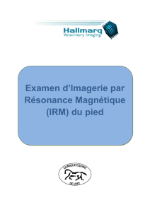 Examen d`Imagerie par Résonance Magnétique (IRM) du pied