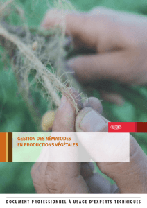 gestion des nématodes en productions végétales