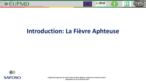 Introduction: La Fièvre Aphteuse