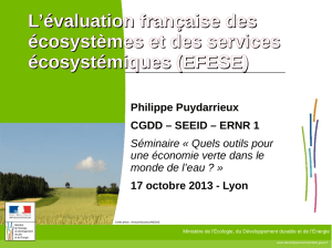 L`évaluation française des écosystèmes et des services